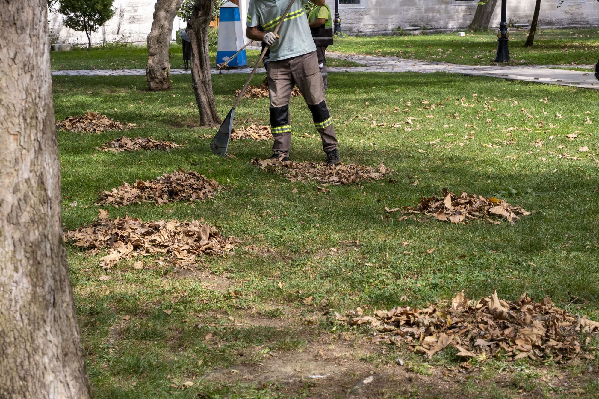 Cleaning Yard after storm