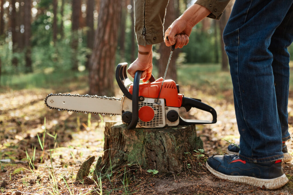 tree removal service